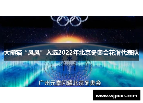 大熊猫“风风”入选2022年北京冬奥会花滑代表队